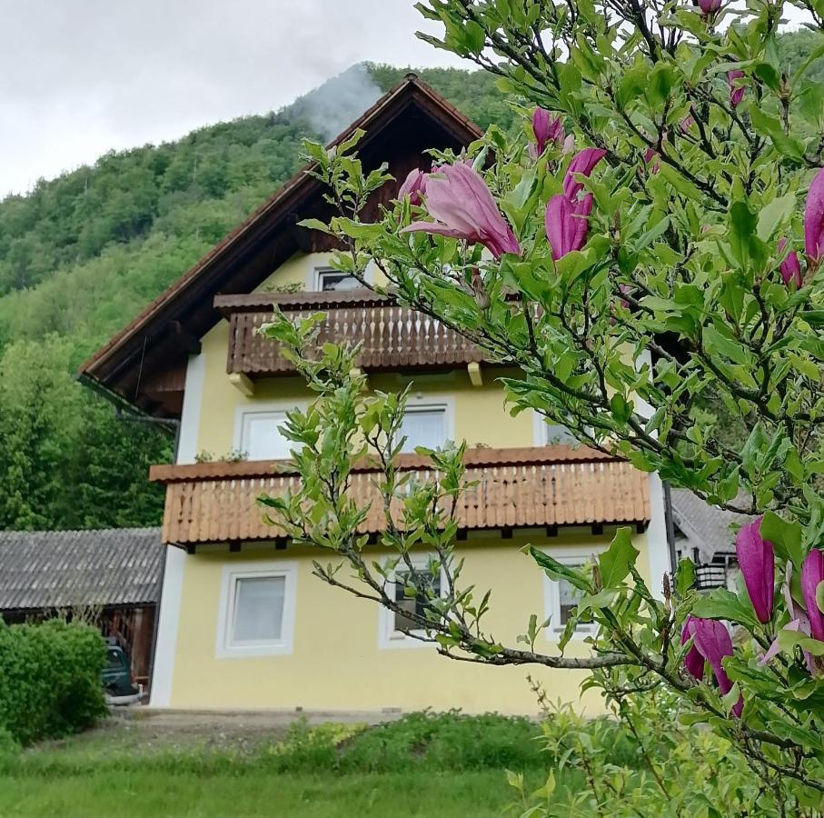 Apartment House Andrej ボーヒニ エクステリア 写真