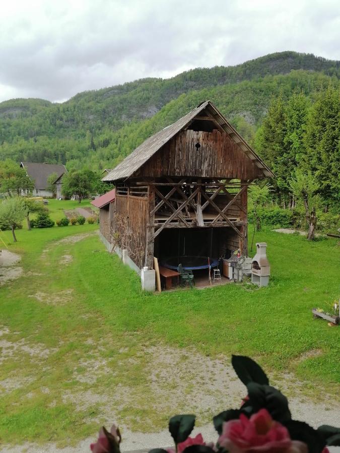 Apartment House Andrej ボーヒニ エクステリア 写真