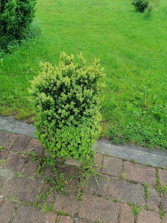 Apartment House Andrej ボーヒニ エクステリア 写真