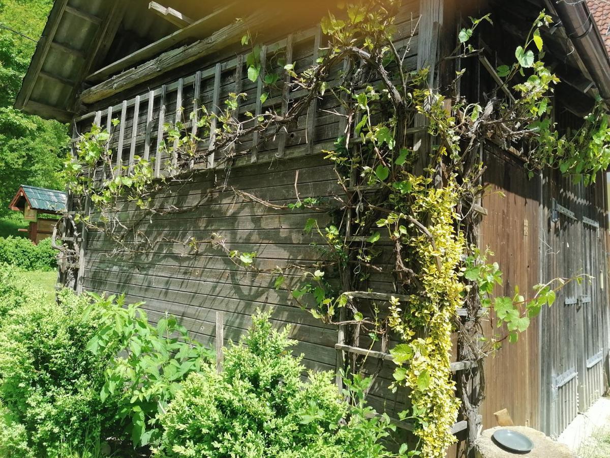 Apartment House Andrej ボーヒニ エクステリア 写真