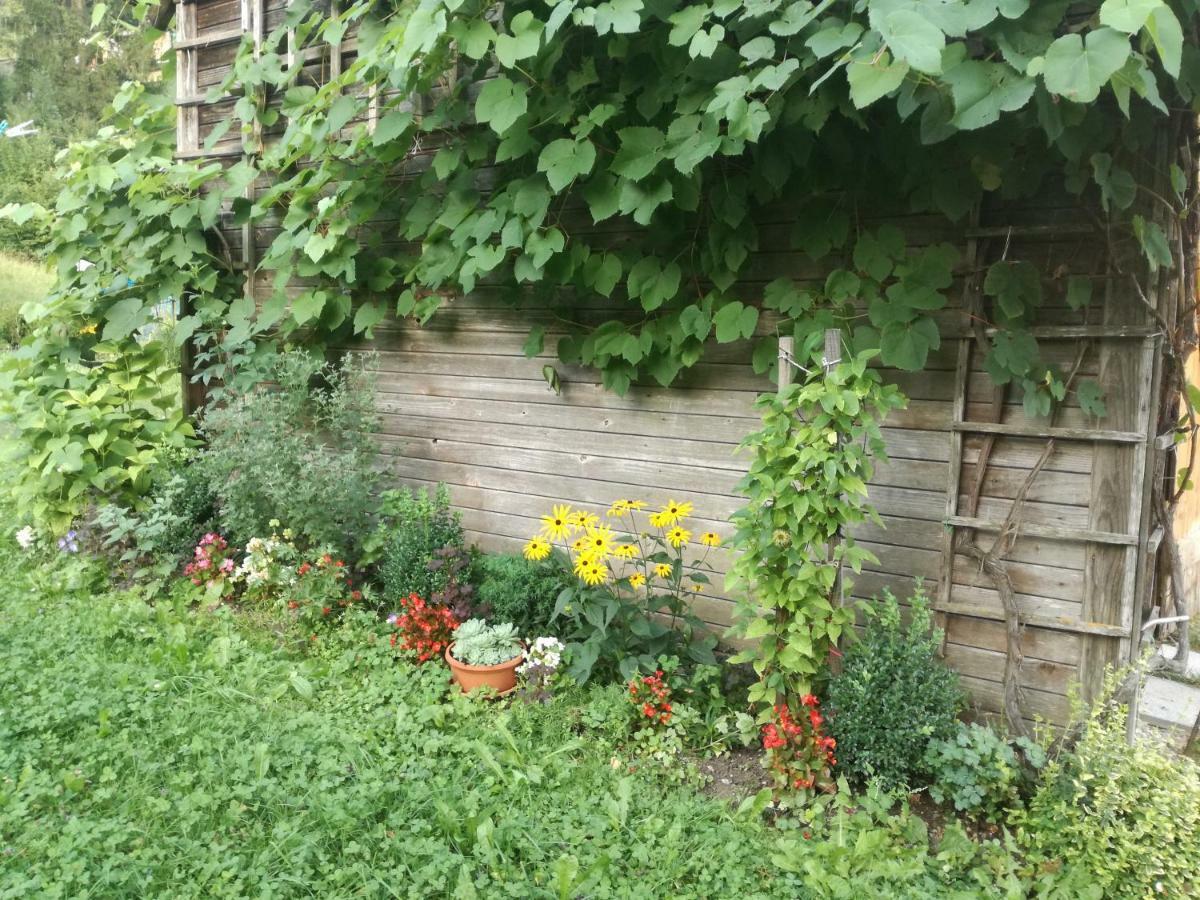 Apartment House Andrej ボーヒニ エクステリア 写真